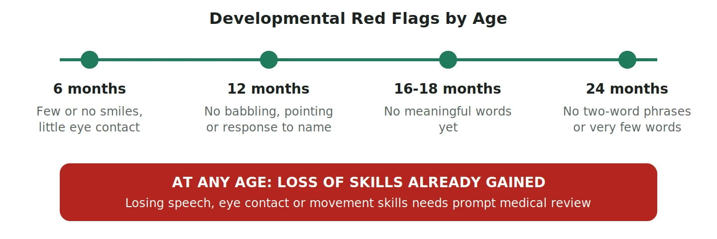 Timeline of developmental red flags in children at 6, 12, 16 to 18 and 24 months